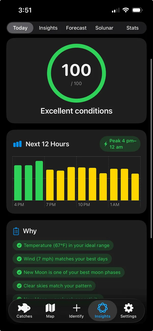 ReelIQ today scoring screen showing the bite score and forecast for the day